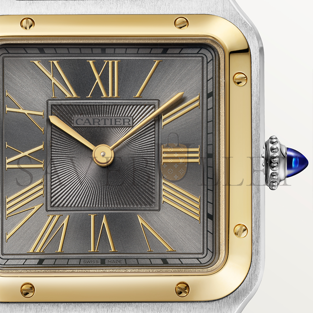 CARTIER SANTOS-DUMONT 44MM WATCH W2SA0028